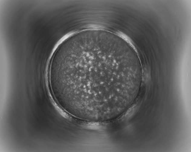 X0000087561098200704271222