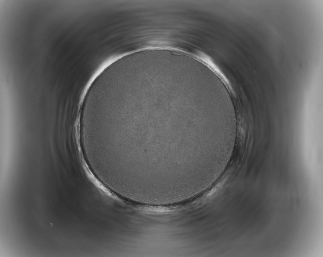 X0000087561100200704271222