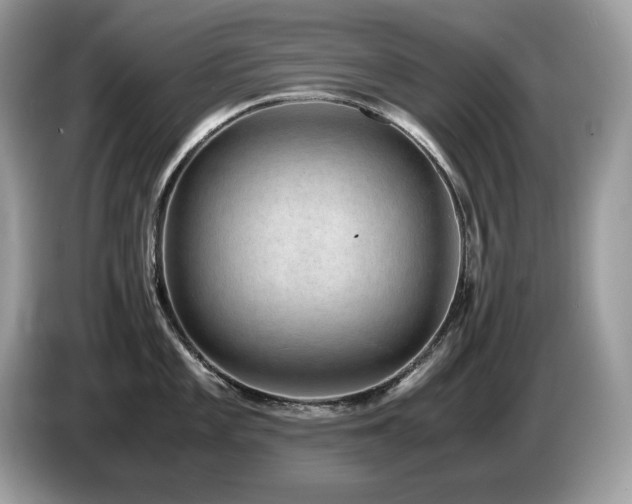 X0000087561101200704271221