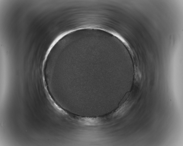 X0000087561102200704271221