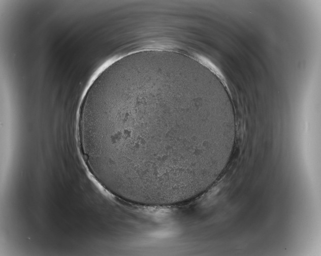 X0000087561103200704271221
