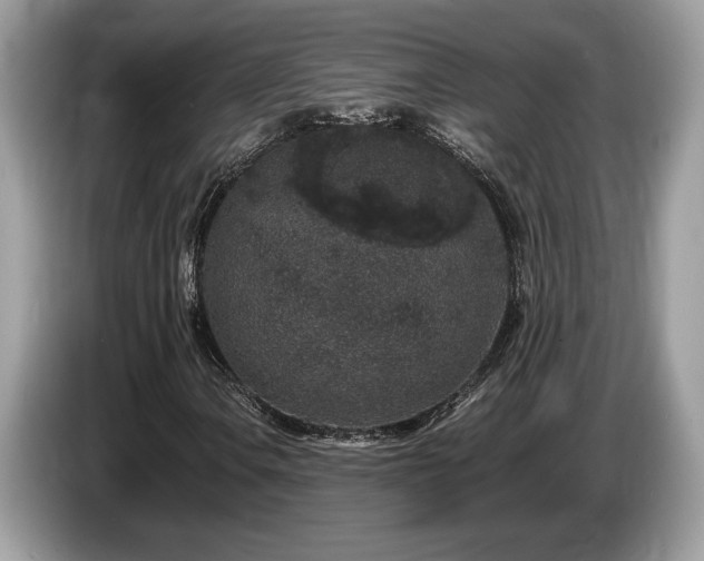 X0000087561106200704271221