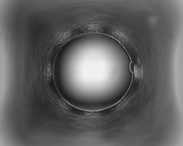 X0000087561107200704271221