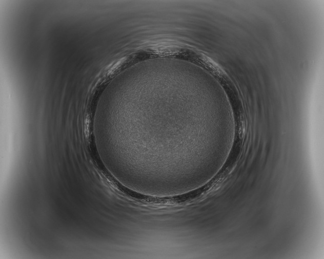 X0000087561108200704271221