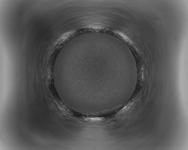 X0000087561110200704271221