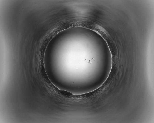 X0000087561111200704271221