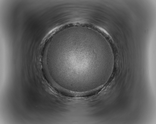 X0000087561112200704271221