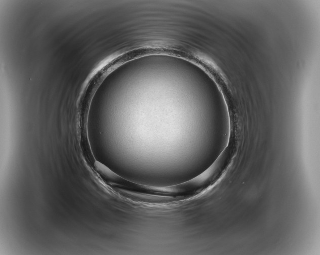 X0000087561114200704271221