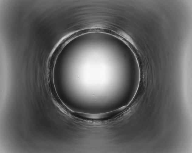 X0000087561116200704271221