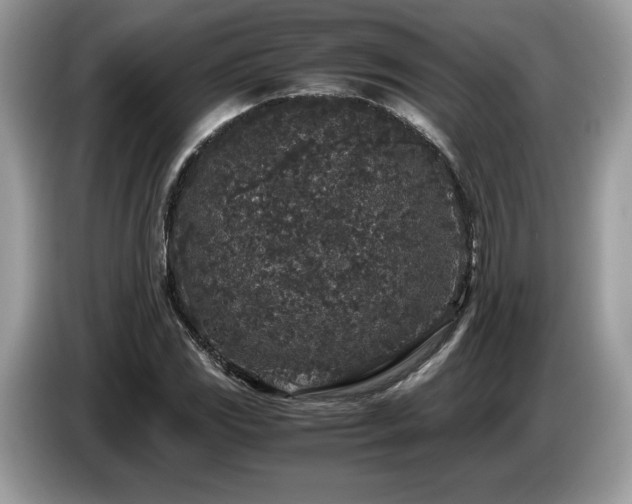 X0000087561117200704271221