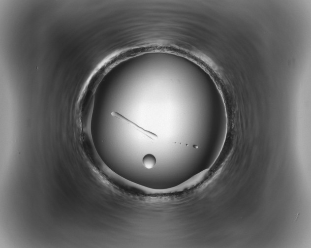 X0000087561118200704271221