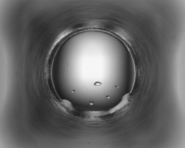 X0000087561119200704271221