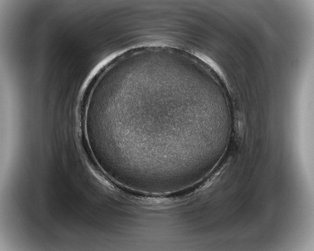 X0000087561120200704271221