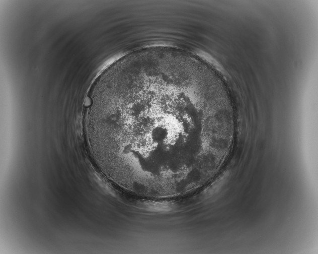 X0000087561121200704271221