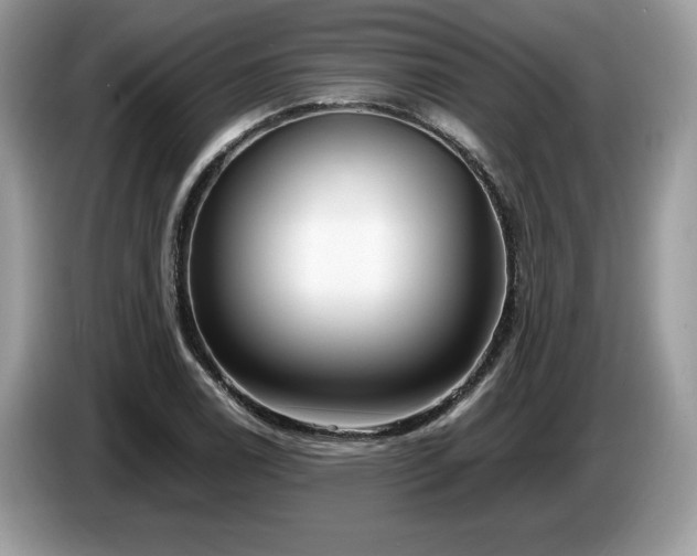 X0000087561122200704271221
