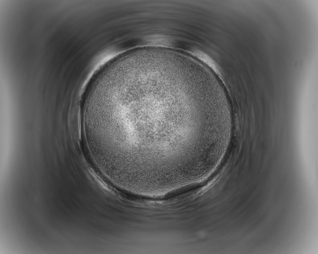 X0000087561123200704271221