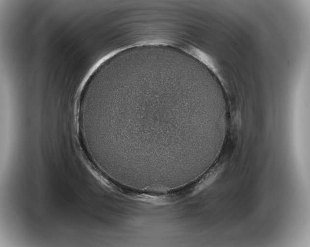 X0000087561124200704271221