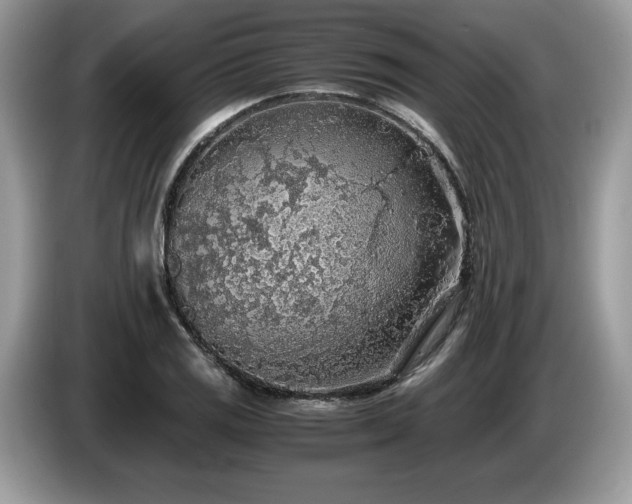 X0000087561125200704271221