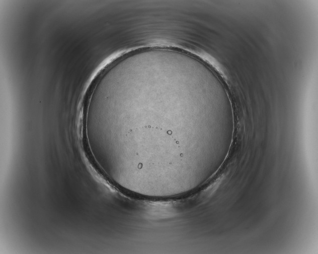 X0000087561126200704271221