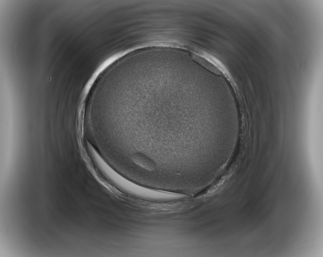 X0000087561128200704271221