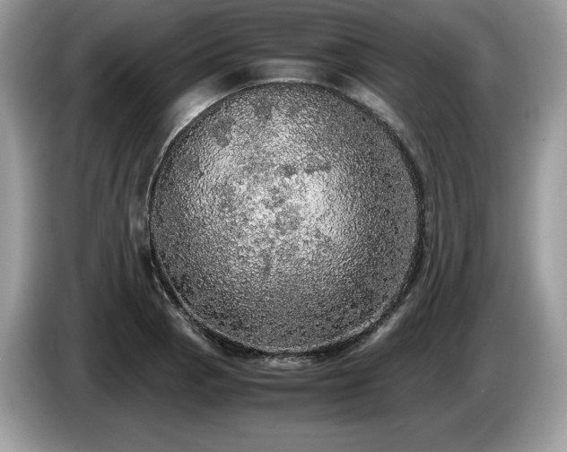 X0000087561129200704271221