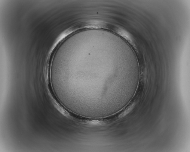 X0000087561130200704271221