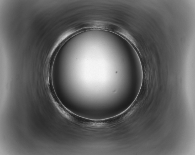X0000087561131200704271221