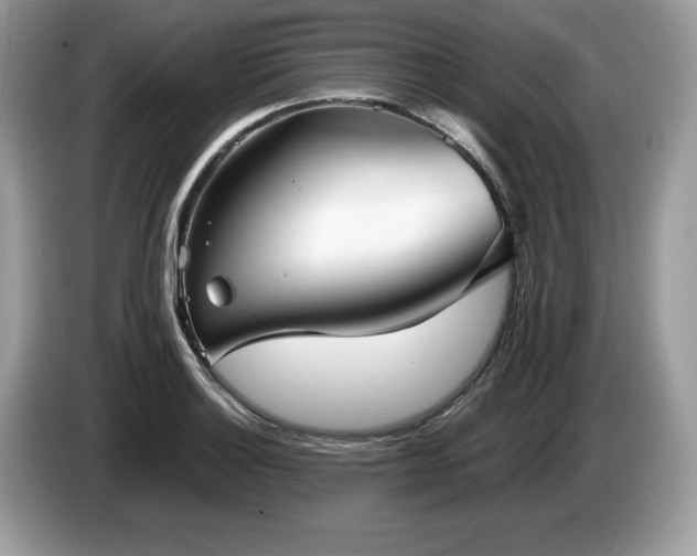 X0000087561132200704271221