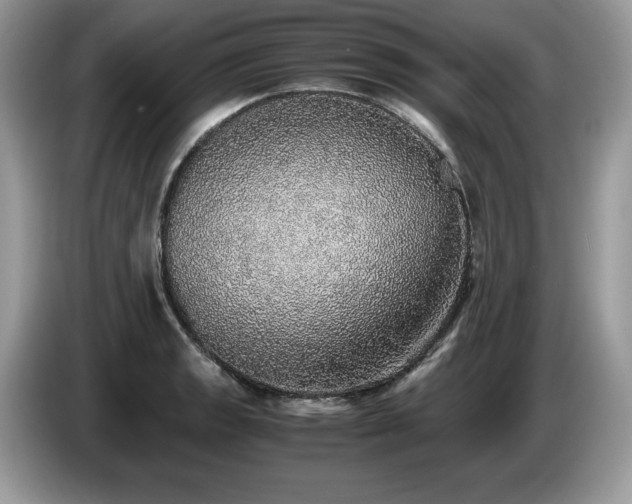 X0000087561133200704271221