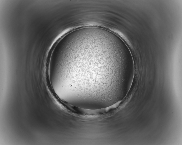 X0000087561134200704271221