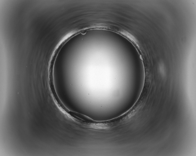 X0000087561135200704271221