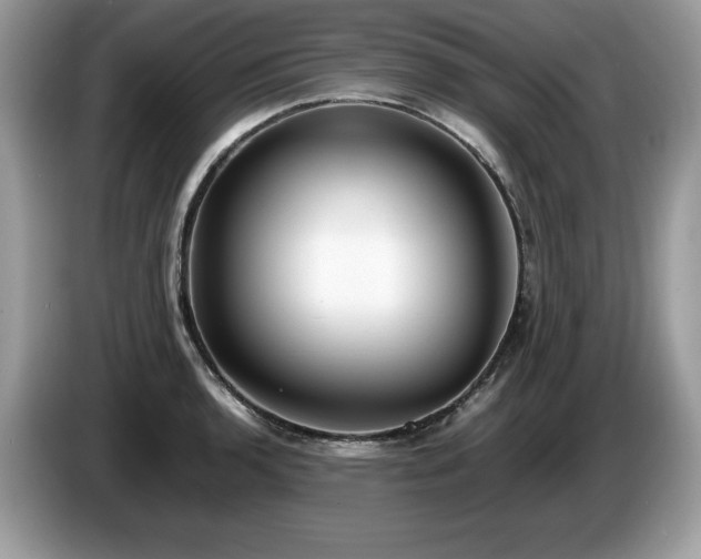 X0000087561136200704271221