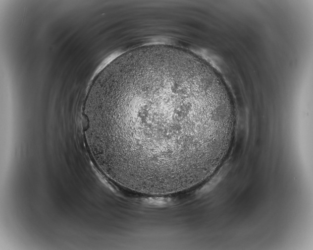 X0000087561137200704271221