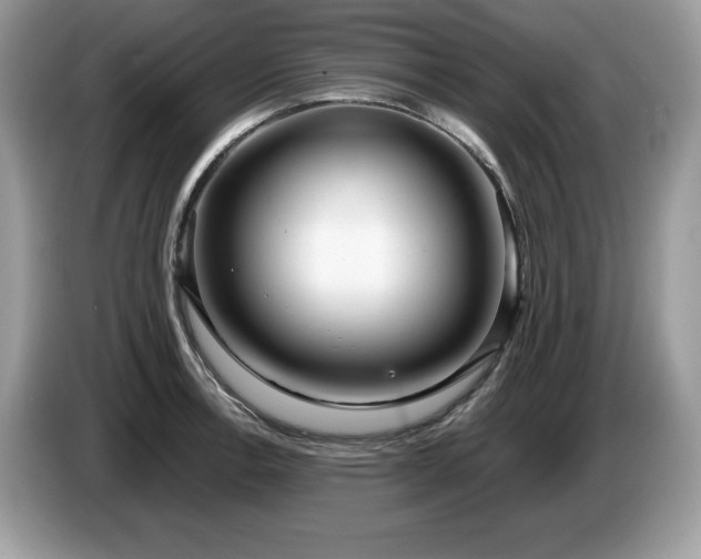 X0000087561138200704271221