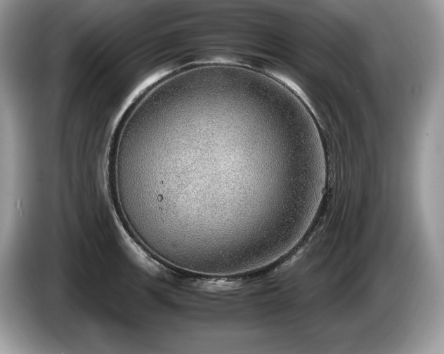 X0000087561139200704271221