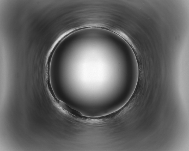 X0000087561140200704271221