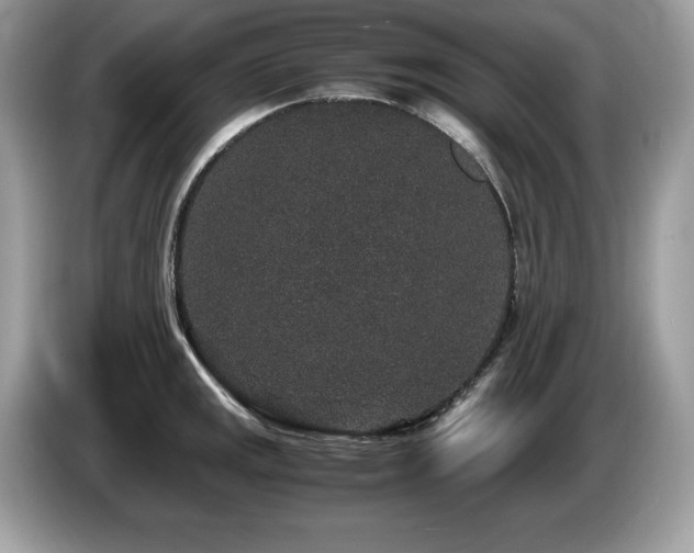 X0000087561141200704271221