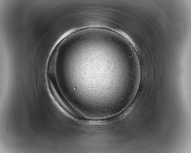 X0000087561142200704271221