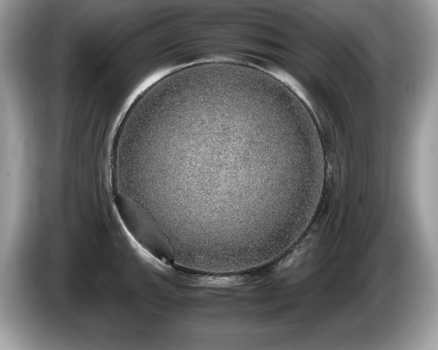 X0000087561143200704271221