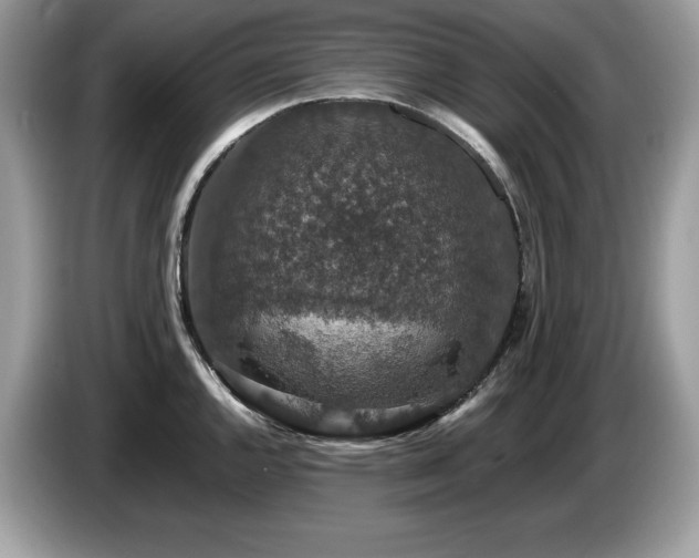 X0000087561144200704271221
