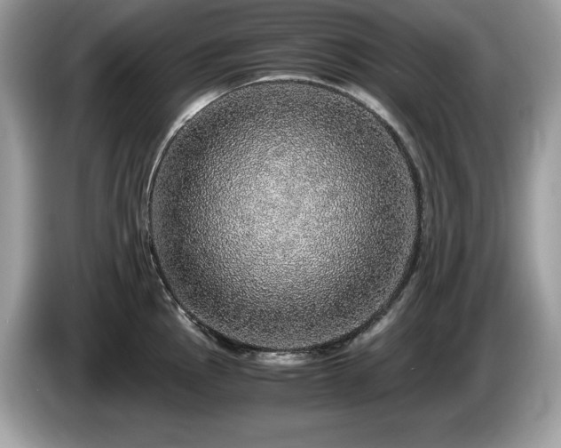 X0000087561145200704271221