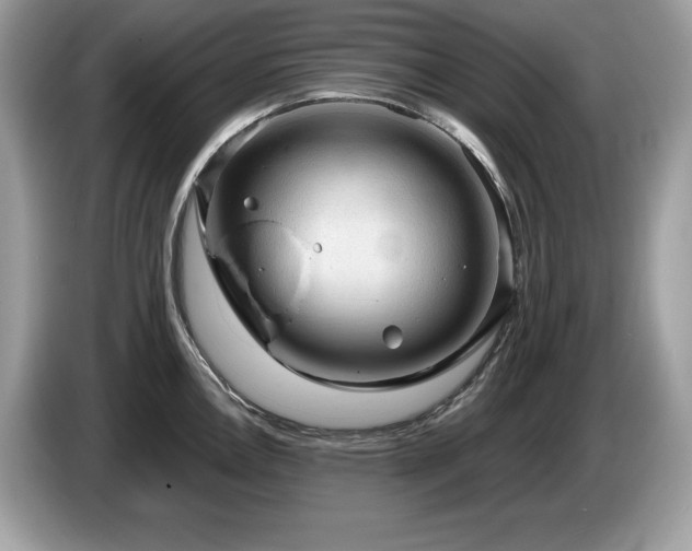 X0000087561146200704271221