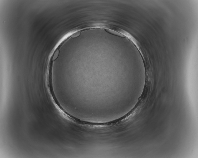 X0000087561147200704271221