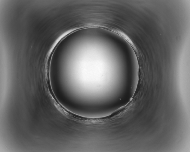 X0000087561148200704271221