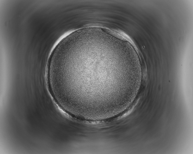 X0000087561149200704271221