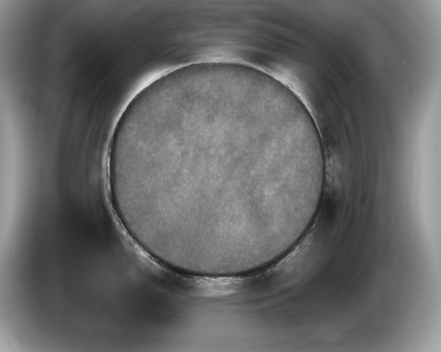 X0000087561150200704271221