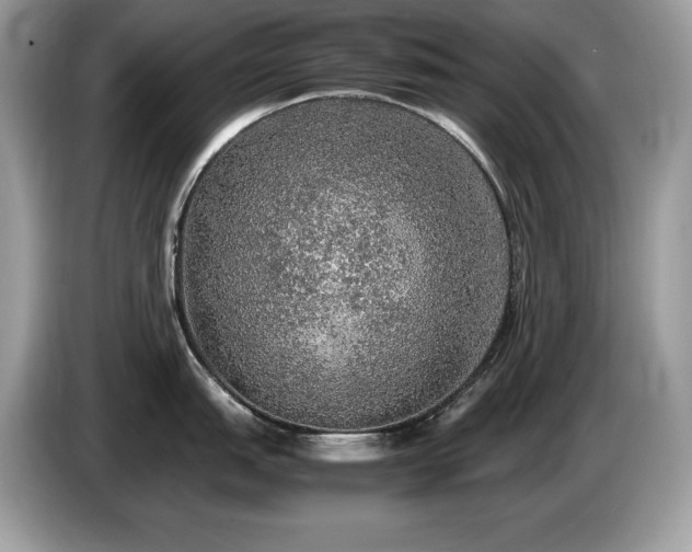 X0000087561151200704271221