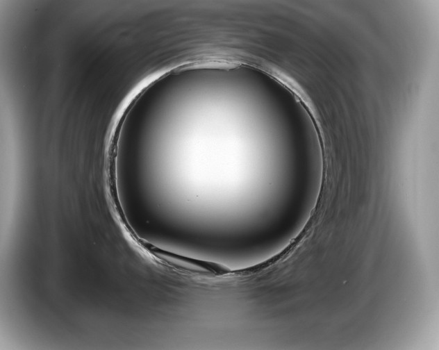 X0000087561152200704271221