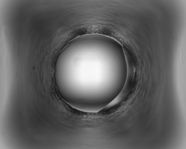X0000087561153200704271221