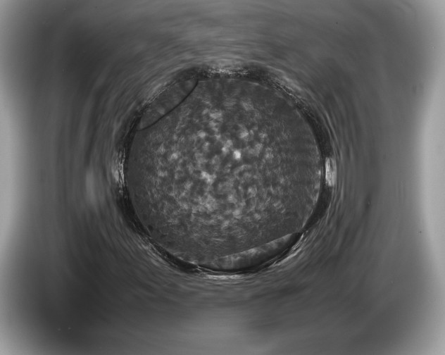 X0000087561155200704271221